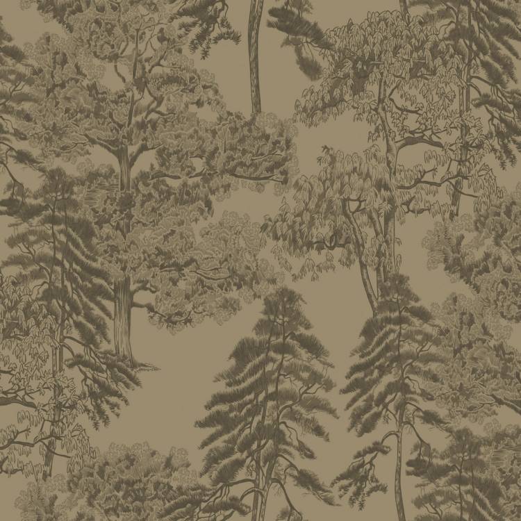Обои Milassa Ambient Vol.4 Am5005/1