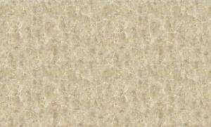 Обои бумажные Bruno Zoff Gold 60121-2