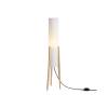 Торшер Freya Modern FR5543FL-01T фото 5