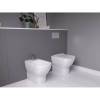 Кнопка смыва Ideal Standard Prosys Oleas R0115JG Matt Chrome (Матовый хром) фото 4