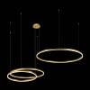 Подвесной светодиодный светильник Loft IT Ring 10017/3L фото 2