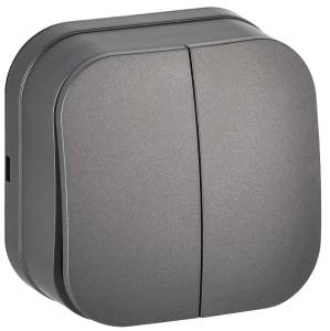 Выключатель 2-клавишный IEK Glory EVH20-K46M-10 сталь матовый