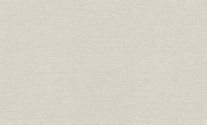 Обои Rasch Metal Spirit 970623
