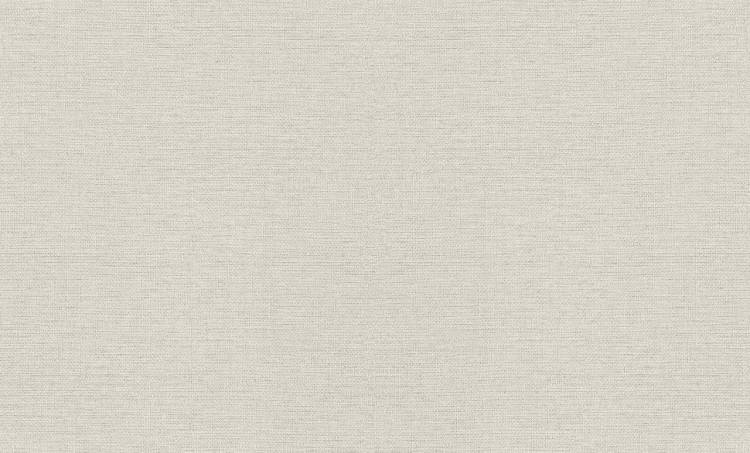 Обои Rasch Metal Spirit 970623