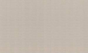 Обои виниловые Rasch Fiesta 960907