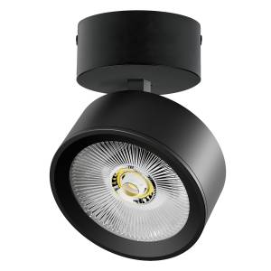 Накладной светодиодный спот Lightstar Alta Pro A5647SO