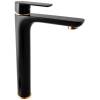 Смеситель для раковины Rav Slezak Vltava VT430.5CMATZ черный