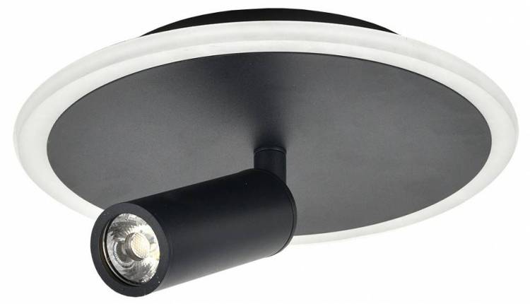 Потолочный светильник Escada 20046SMA/01LED BK
