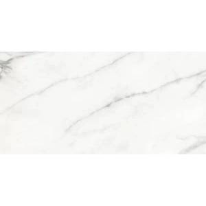 Керамогранит Zodiac Ceramica Marmori Massa H 60x120