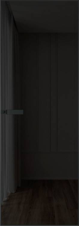Межкомнатная дверь Profil Doors 1 AGN цвет профиля Черный, стекло безопасное 4 мм черное тонированное 600x2000