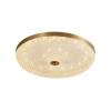 Потолочный светодиодный светильник Arti Lampadari Viro L 1.13.45x8 G фото 2