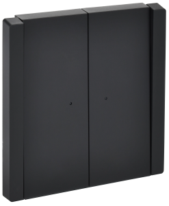 Выключатель 2-клавишный IEK Forte&Piano FP-V20-1-10-1-K02 черный