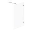 Душевая перегородка Am.Pm X-Joy W94WI-120-F1-MTE 120x195, стекло прозрачное 6 мм, профиль хром матовый