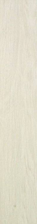 Керамогранит Atlas Concorde Etic AJ68 Rovere Bianco 15x90