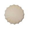 Настенно-потолочный светильник TopDecor Muse AP3 10 09s