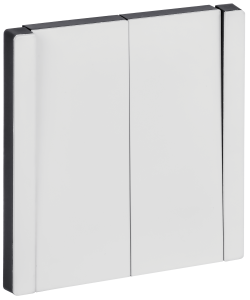 Выключатель 2-клавишный IEK Forte&Piano FP-V20-0-10-1-M-K01 белый