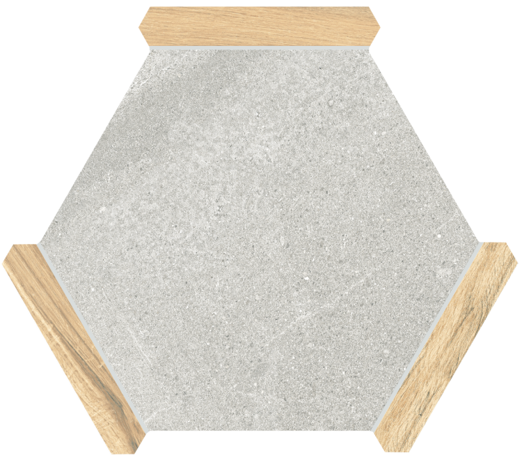 Керамогранит Monopole Avant Sacramento Ceniza Pino 22x25