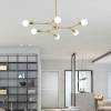 Подвесная люстра Lightera Trent LE226PL-6G фото 4