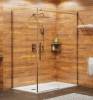 Душевой уголок Wasserkraft Alme 15R10 120x100 см фото 2