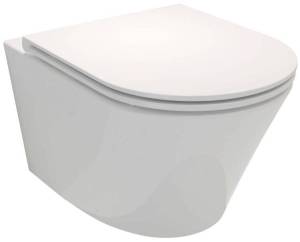 Унитаз подвесной Jacob Delafon Rodin+ EDY102-00 с крышкой-сиденьем