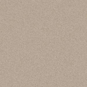 Линолеум Tarkett Pragmatic (Прагматик) Focus (Фокус) 1 (рулон: 4x20=80 м2)