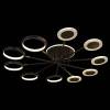 Потолочный светильник Loft IT Megan 10164M Black фото 3