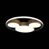 Потолочный светодиодный светильник Loft IT Mike 10168 фото 4