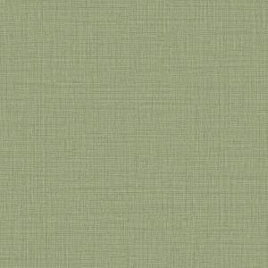 Обои Alessandro Allori Giorgio 1010-13