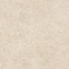Керамогранит Alma Ceramica Amsterdam GFU6060ADM40R матовый 60x60x9 фото 5