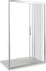 Душевая дверь в нишу Good Door Orion WTW-100-C-CH фото 5