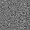 Защитное покрытие для декоративных штукатурок Silk Plaster Topcoat Matte 03-225 1 л фото 2