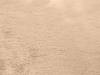 Ковер Tianjin home art carpet Palermo 06 D.Beige Прямоугольник 1.8x1.2 м фото 2