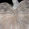 Подвесная люстра Citilux Dryad CL305160 фото 12
