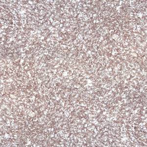 Жидкие обои Silk Plaster Master Silk 23