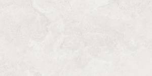 Керамогранит A-Ceramica ECO SP-14034 Polished 60x120