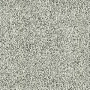 Обои Roberto Cavalli №6 17084