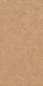 Керамическая плитка Kerama Marazzi Руссильон KM3060B0271R оранжевый светлый матовый обрезной 30x60