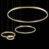 Подвесной светодиодный светильник Loft IT Ring 10017/4L фото 3