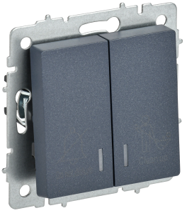 Выключатель 2-клавишный IEK Brite BR-V20-2-10-K35 маренго