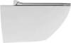 Унитаз подвесной Berges Puma Rimless 082126 с микролифтом фото 3
