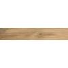 Керамогранит Absolut Gres Wildwood AB 1162W Beige 20x120