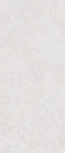 Слэб керамический Staro Slab Matt Onega Silver Xylotech 120x278