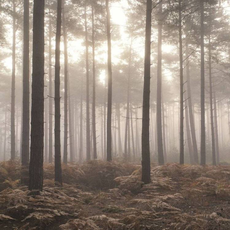 Панно Aura Atmosphere G78426