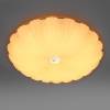 Настенно-потолочный светодиодный светильник Lightstar Arco II 225440 фото 2