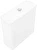Унитаз-компакт BelBagno Aurora BB8604CPR-SC безободковый Белый фото 8