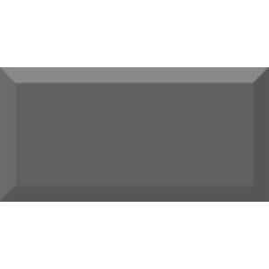 Керамическая плитка Absolut Keramika Monocolor Marengo Biselado Brillo 10x20