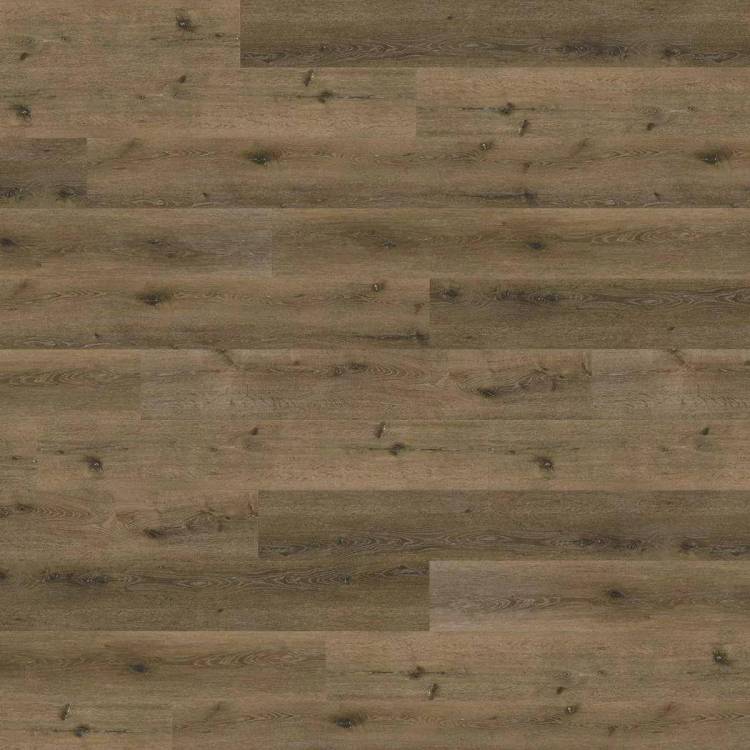 LVT Плитка Wineo 800 Wood XL 5/42 4V DLC00063 Дуб Болотный рустик 1505x237