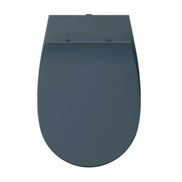 Крышка-сиденье Isvea Sentimenti Neo 40D80545I-S с микролифтом, изумрудный матовый