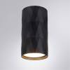 Потолочный светильник Arte Lamp Fang A5557PL-1BK фото 2