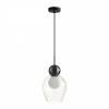 Подвесной светильник Odeon Light Blacky 5023/1